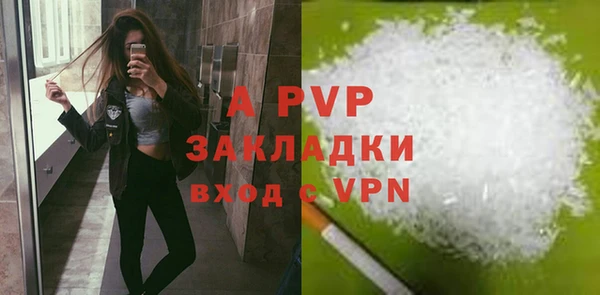стаф Магас