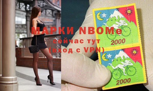 стаф Магас