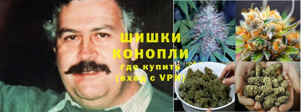 PSILOCYBIN Медногорск
