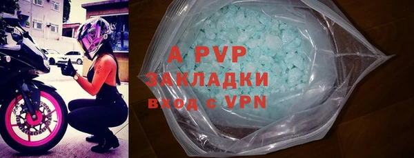 стаф Магас