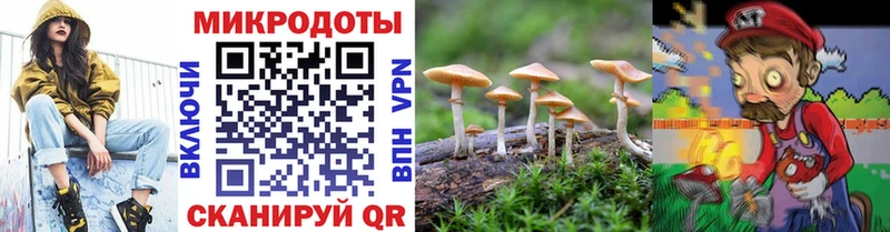Галлюциногенные грибы Psilocybe  цены наркотик  Монино 